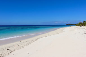 皆様良い年をお迎えください