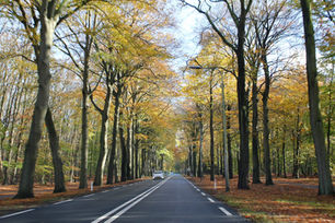 オランダ　秋の情景