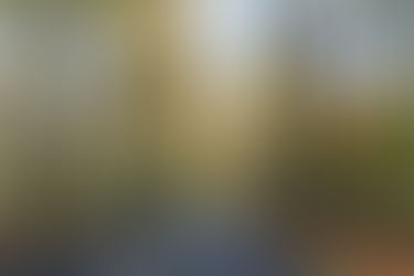 オランダ　秋の情景