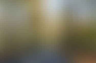 オランダ　秋の情景