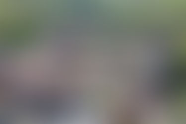 南西フランスの美しい小さな村