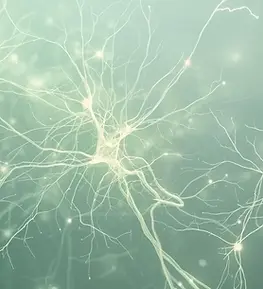 faire une image de neurones qui se connectent sur des tons verts clairs pastel avec des po