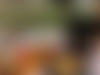 遊山箱でピクニック！