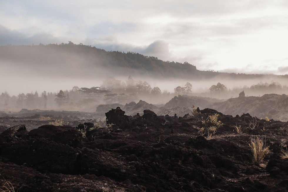 Copy of Copy of 0K1A8420-min.jpg