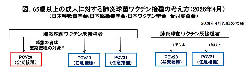 肺炎球菌ワクチン2026.4表.jpg