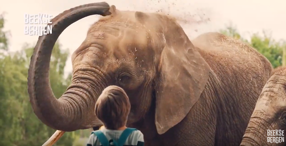 Beekse Bergen Safari TVC