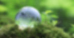 ecochurch-sharing-1.jpg