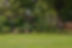 Country Garden - Shropshire 2.JPG