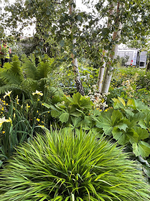 Design Process - Planting, Gillian Goodson Garden and Landscape Design, Rutland.jpg