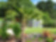 Davis - WS photos 2.jpg
