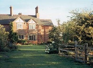 Cotton Farm- the Garden