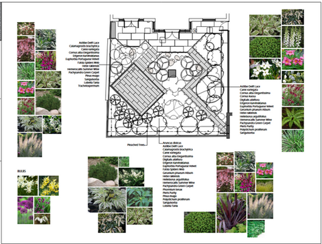 PLANTING PLAN TRUMPINGTON