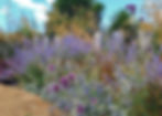 Coastal Garden designm Milford on Sea Hants_3519x2504.jpeg