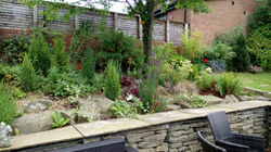 A large garden after extension completed