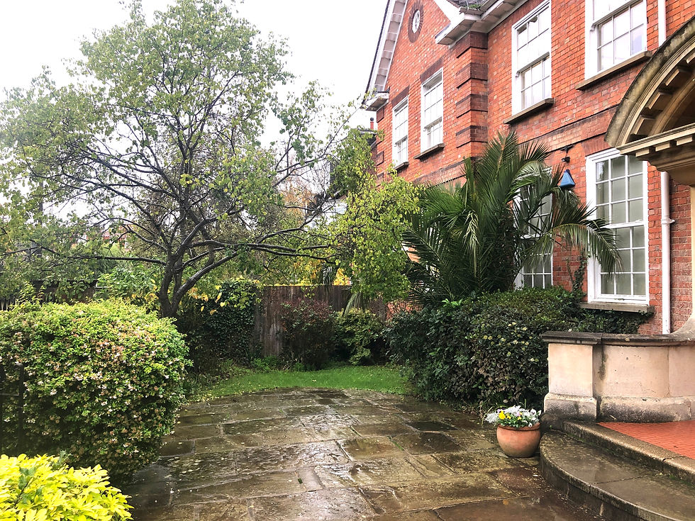 1. Before looking down the garden.jpg