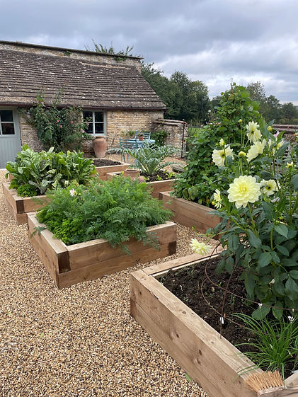 Pilton - after - vegetable productive area 2.jpg