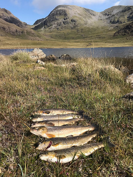 Isle of Rum Fishing.jpeg
