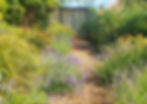 Family garden Cambridge 20240615_161717_3744x2637.jpeg