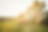 BANNER SITE.png