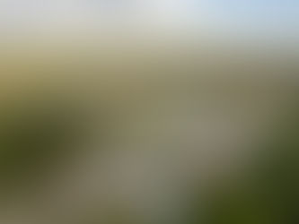 Loteamento ou bairro planejado: qual a diferença e qual escolher em 2026?