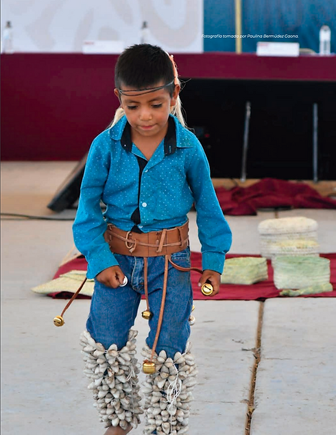 Guarijios fiestas.png