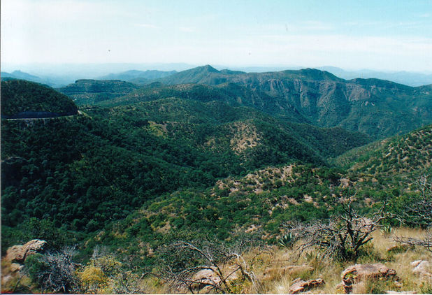 MX - CP -  Pima - Lutisuc IAP - Lutisuc IAP - Etnias de Sonora - MF - 3 - D  - 2.jpg.jpg