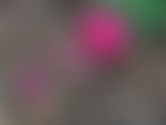 Day 4: June 24, 2021