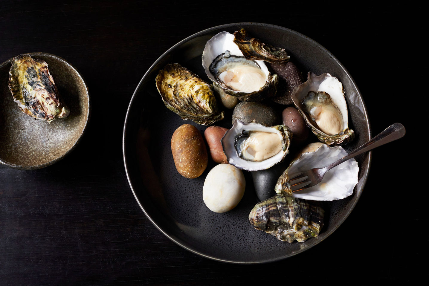 Tasmanian Oysters, Stelo