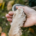 pexels-rdne-7516819.jpg