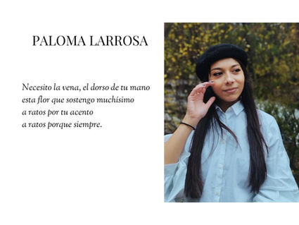 Los milagros florecen en las sombras