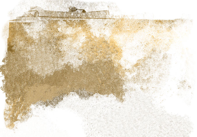 gold-grunge-overlay_0037_2 copynew.png