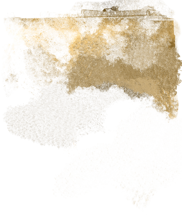 gold-grunge-overlay_0037_2 copynew_edited.png