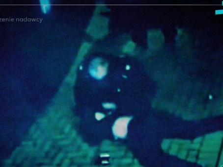 Policjanci pobili go, klęczeli mu na szyi i psikali gazem. Nagrania potwierdziły tą wersję wydarzeń.