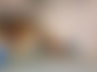 Zwierzęta też mają uczucia! Ratujmy ich!

