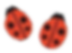 IMG_8827_edited.png