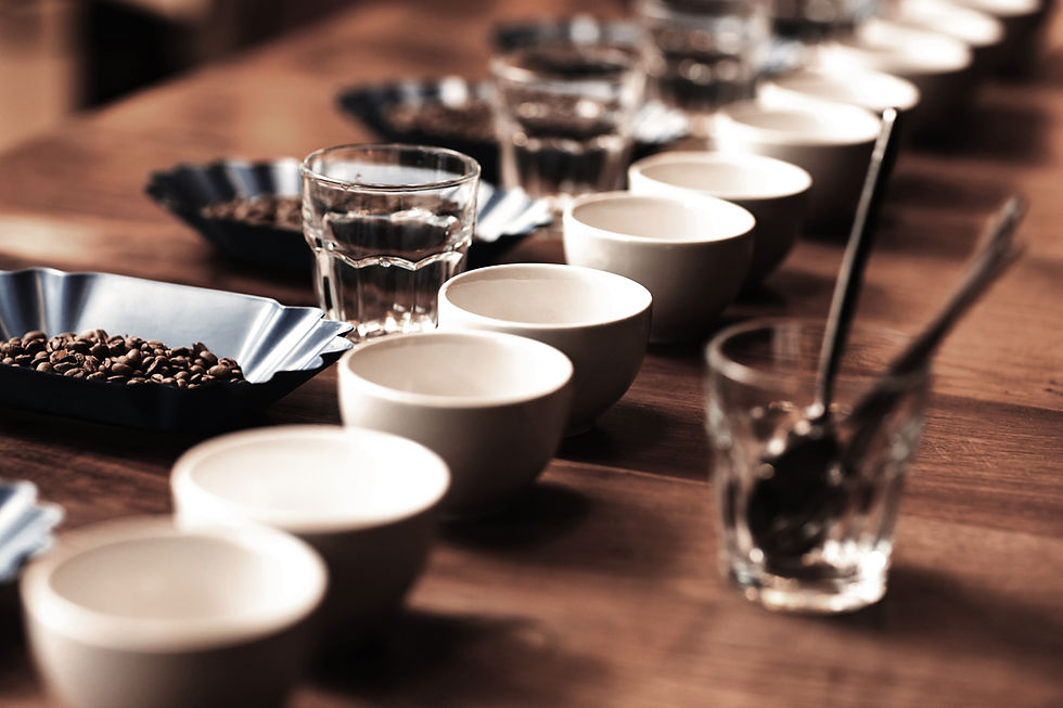 Tan Coffee Roastery kalite kontrol süreci