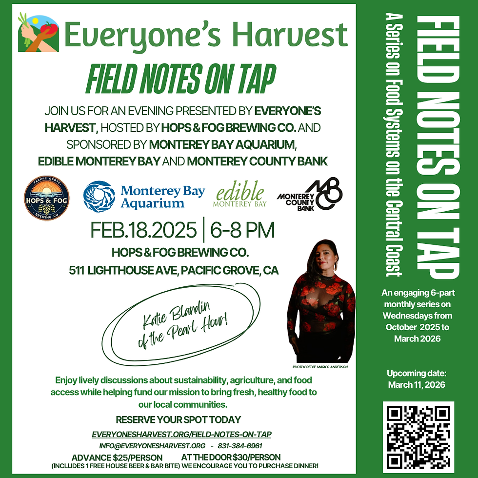 Field Notes on Tap Six Part Series: 5 - Katie Blandin of the Pearl Hour