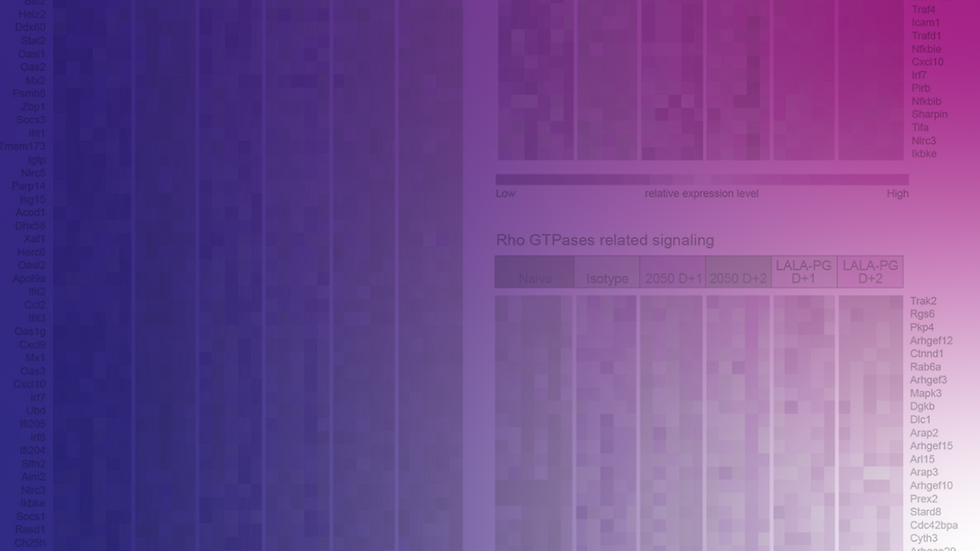 Banner image - Diamond-02.png