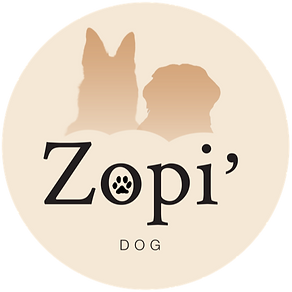 logo zopi creation.png