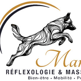 Logo vectorisé copie.png