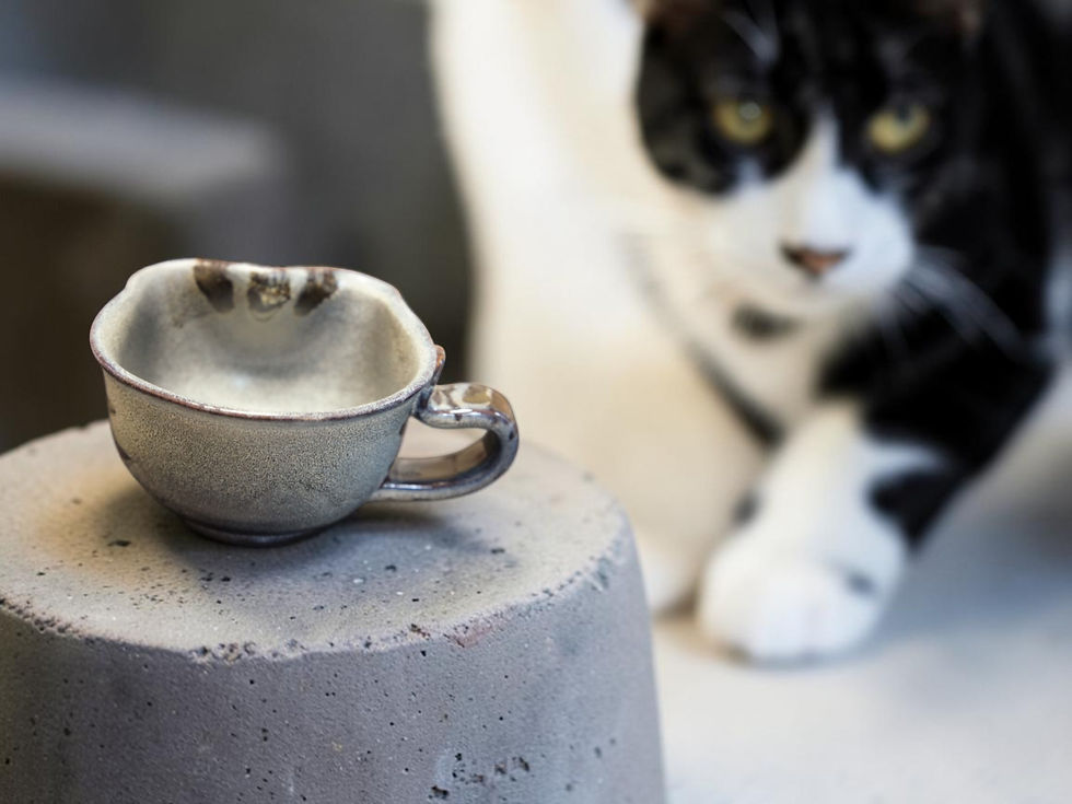 サムネイル： Nunohiki - Grey-blue color tiger cat-themed set (bowl, plate, and spoon)