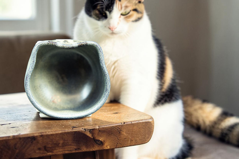サムネイル： Nunohiki - Tiger cat Small cat cup - Blue color