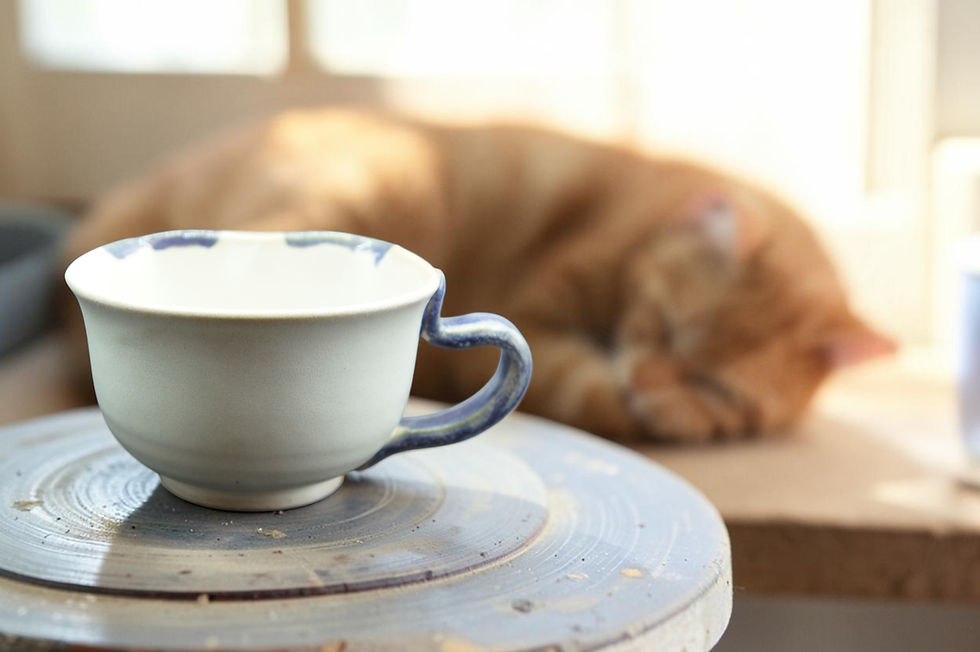 サムネイル： Nunohiki - Light purple cat bowl and plate