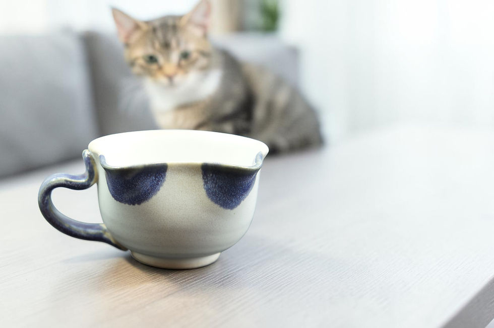 Thumbnail: Nunohiki - Light purple cat bowl and plate