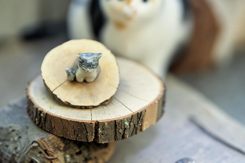 Thumbnail: Shigaraki - Japanese Fire-wood Cat