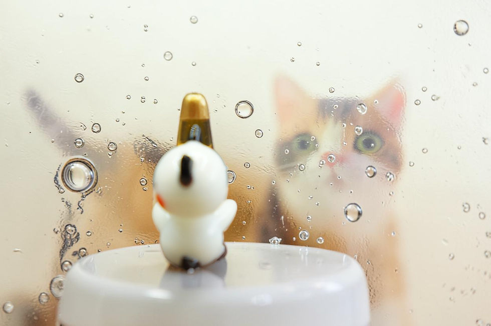 Thumbnail: Kurokabe - The drunken cat's with Handmade Glass Burning