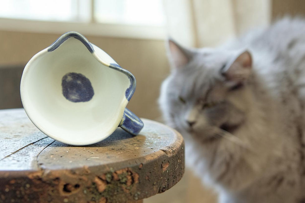 サムネイル： Nunohiki - Light purple cat bowl and plate