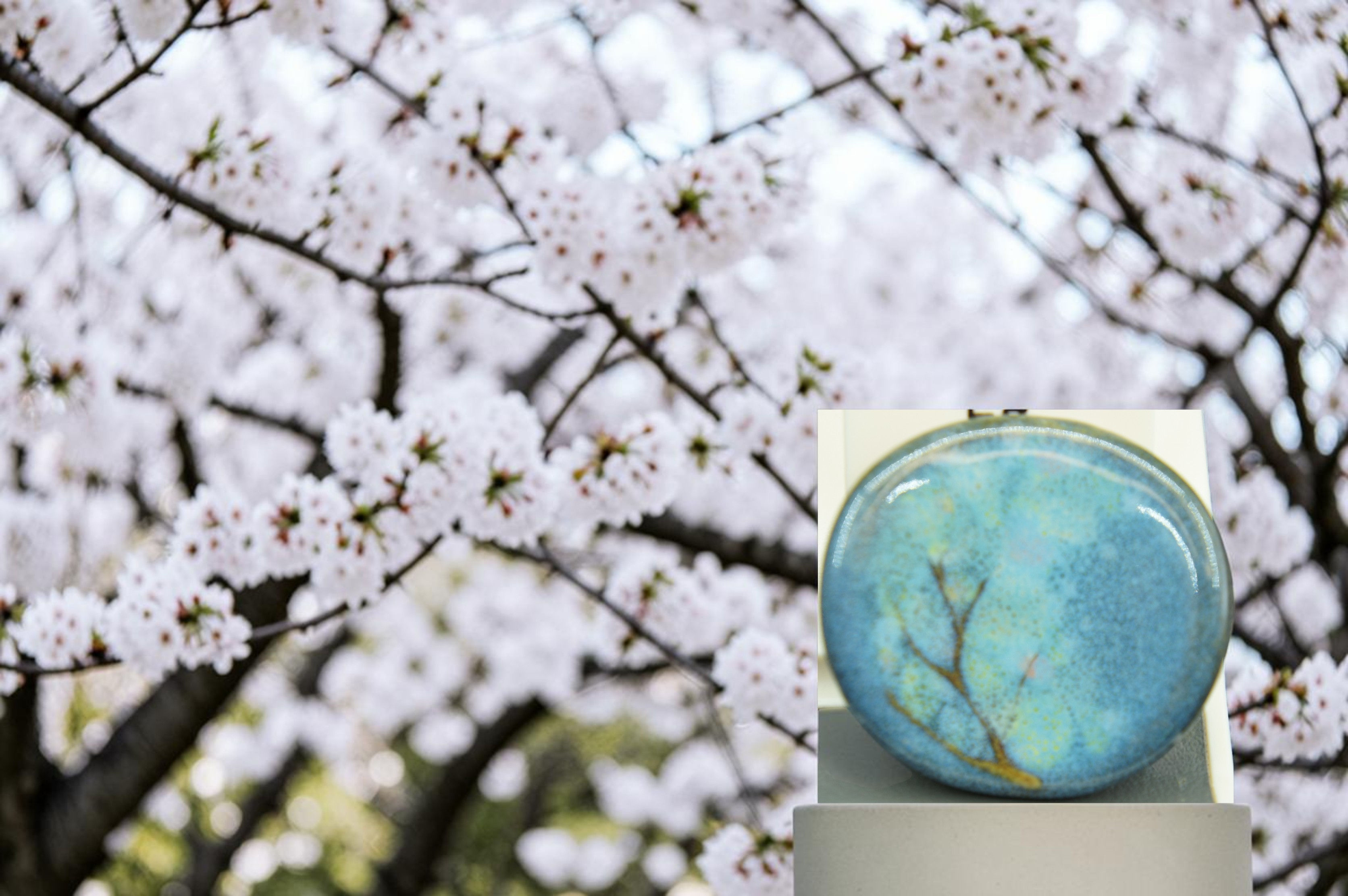 Nunohiki - Sakura pattern chopstick holder - Blue