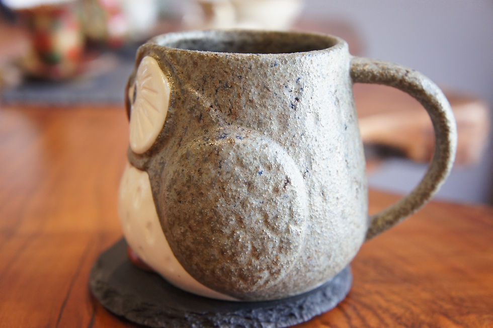 サムネイル： Nara Owl Pottery Mug