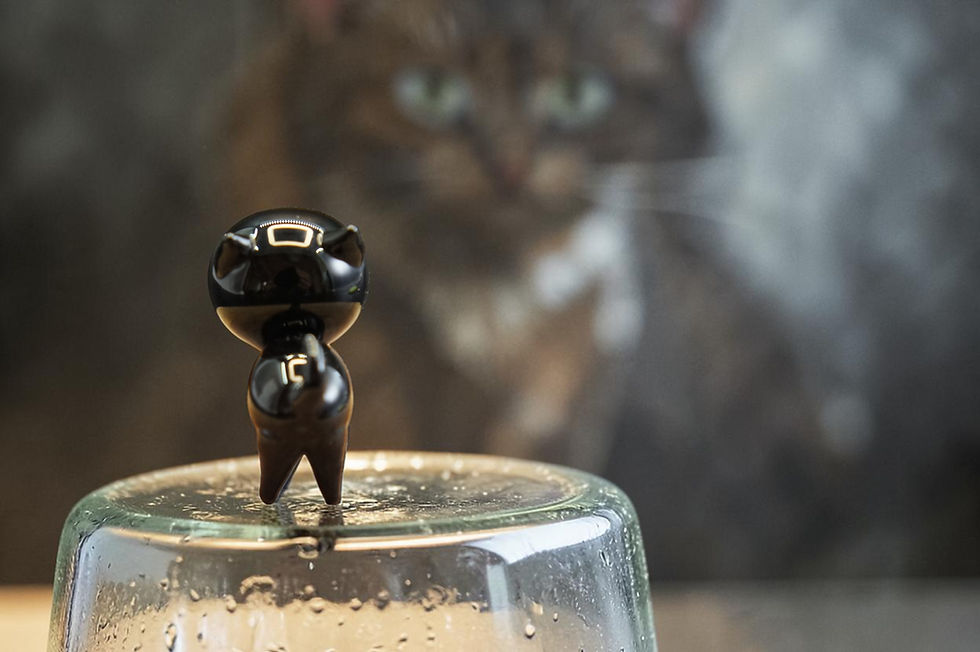 Thumbnail: Kurokabe - Black and white cats fight over fish bones with Handmade Glass Burnin